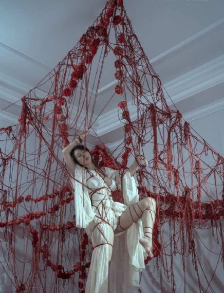 女生日记杨红樱_高清完整视频观看