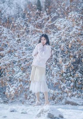 陈情令电视剧在线观看_720电影免费在线